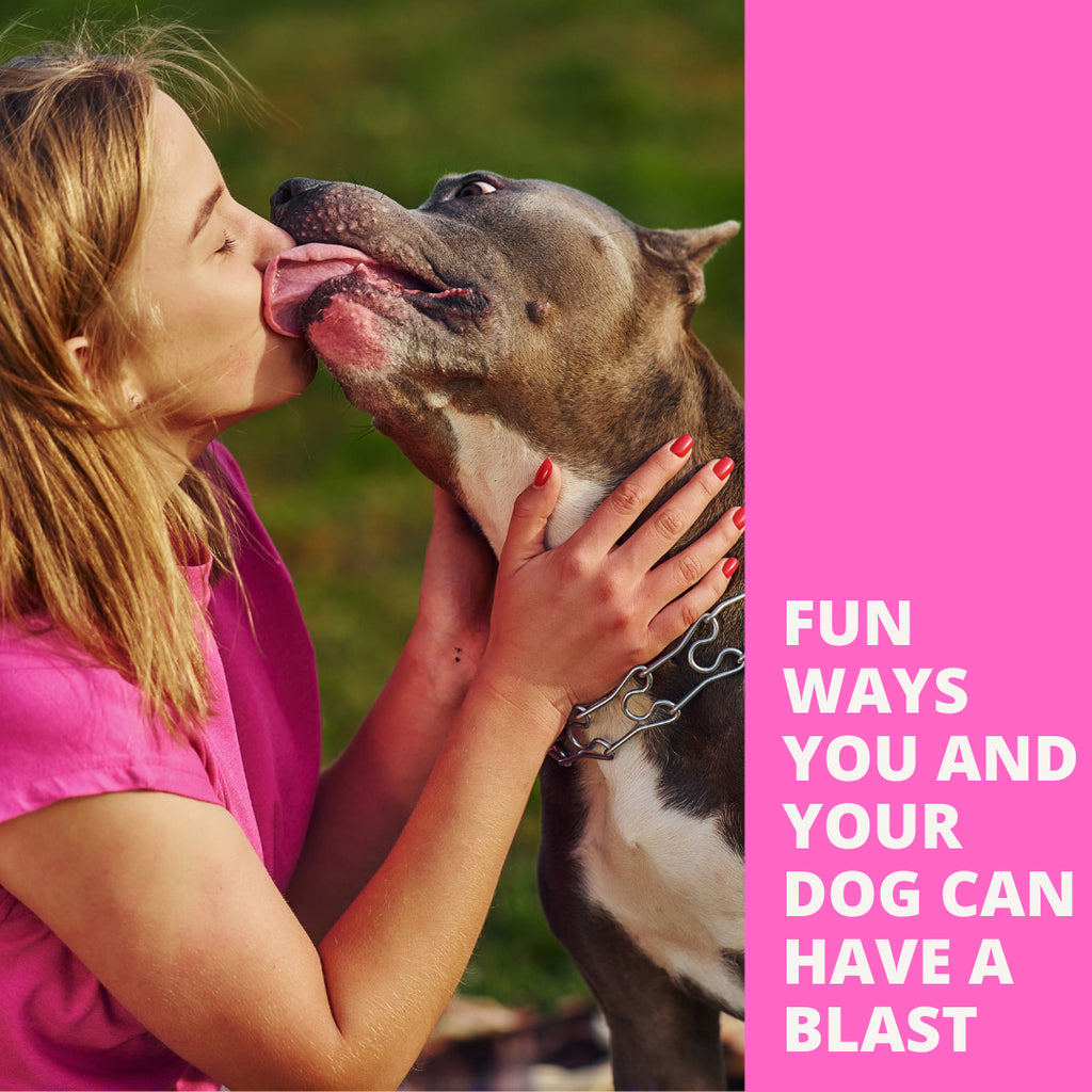 Fun Ways You and Your Dog Can Have a Blast