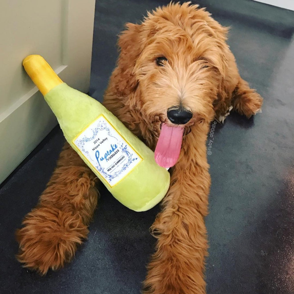 Golden haired dog lying down with a Pupcake Vineyards wine bottle stuffed toy.
